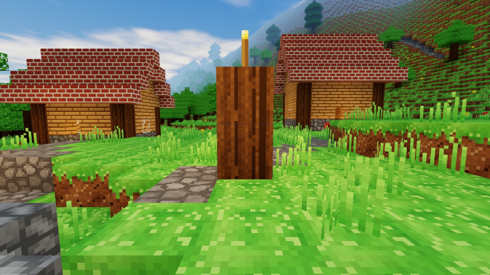 Maisons en briques et en bois dans un village